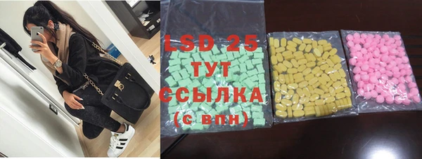 прущие грибы Баксан