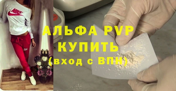 стаф Арсеньев