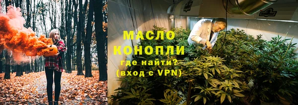 стаф Арсеньев