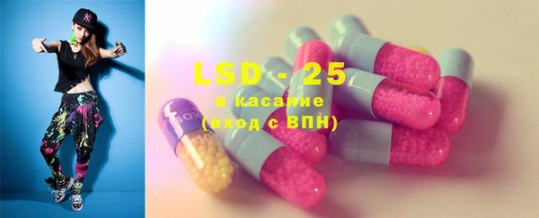 PSILOCYBIN Аркадак