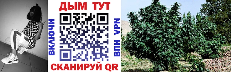 Бошки марихуана SATIVA & INDICA  Родники 